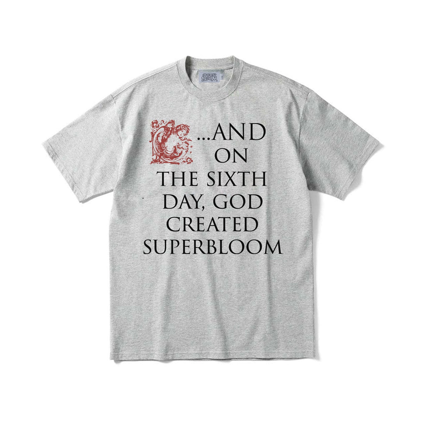 グレーフロントプリントのSixth Day Tシャツ
