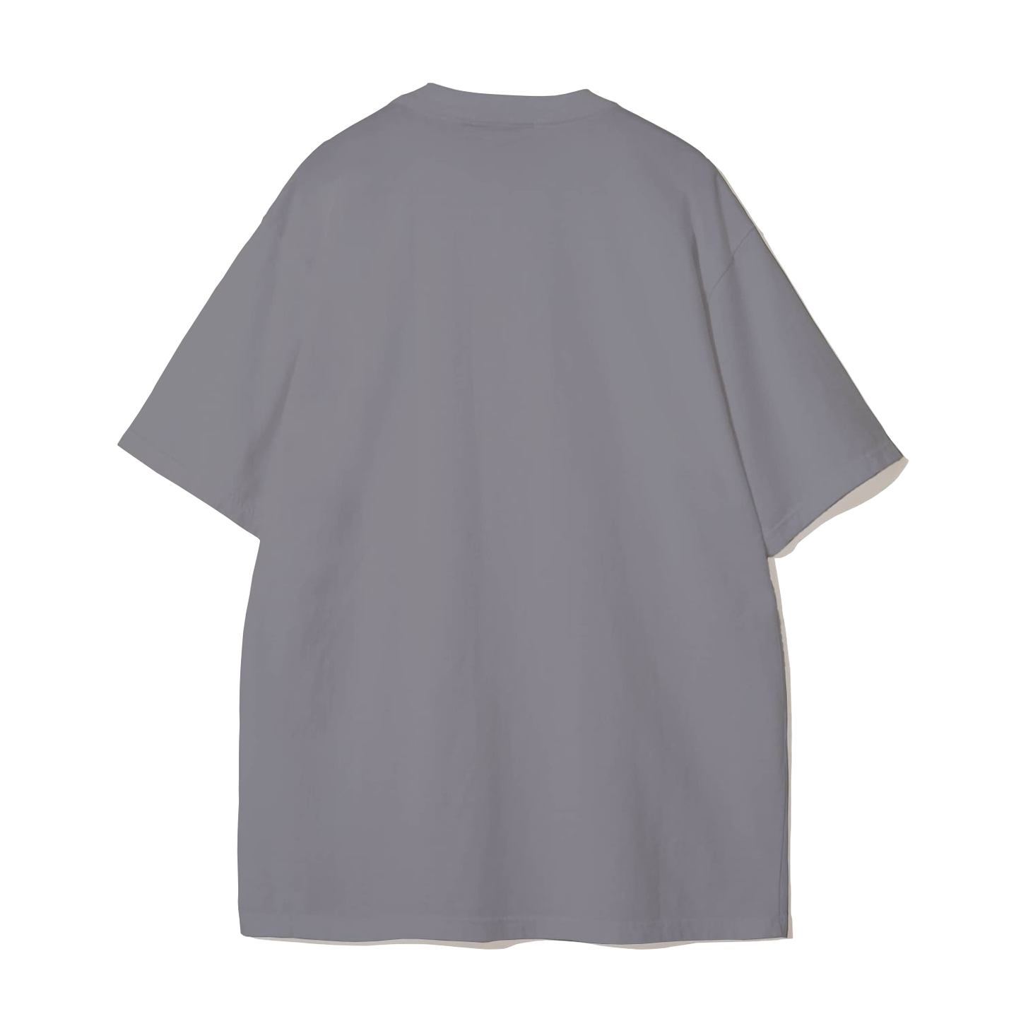Slap Logo Tee in Grey