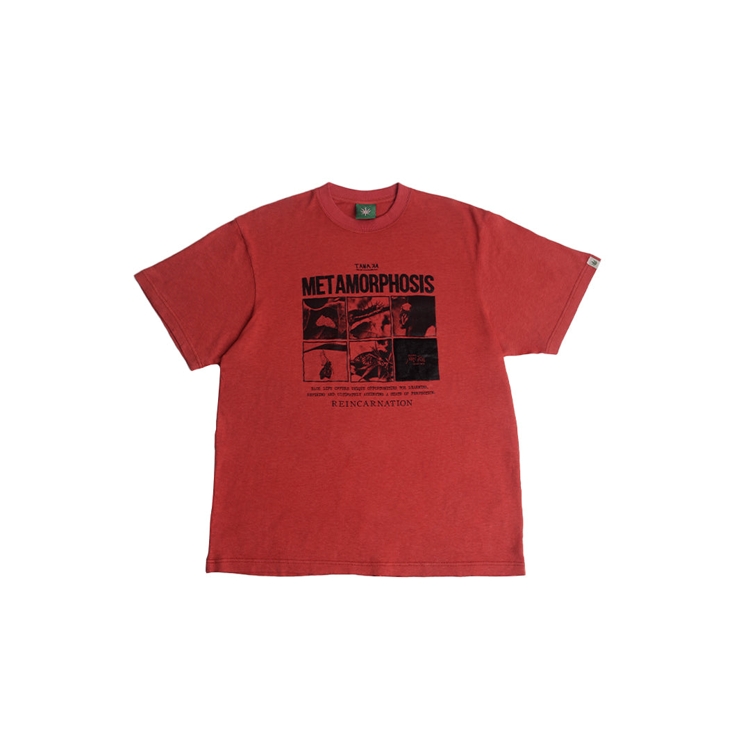 Metaporphosis Tee in Terracota