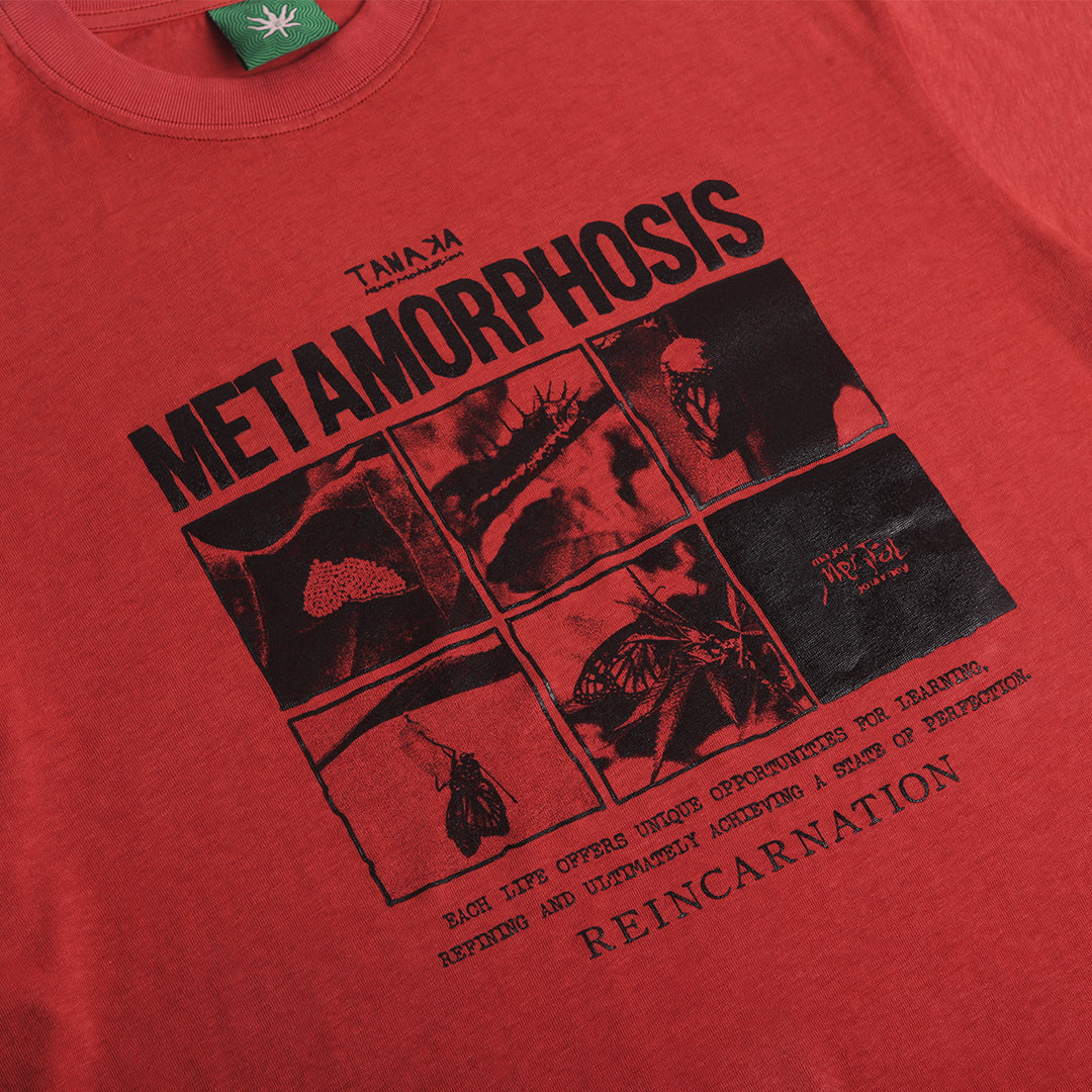 Metaporphosis Tee in Terracota