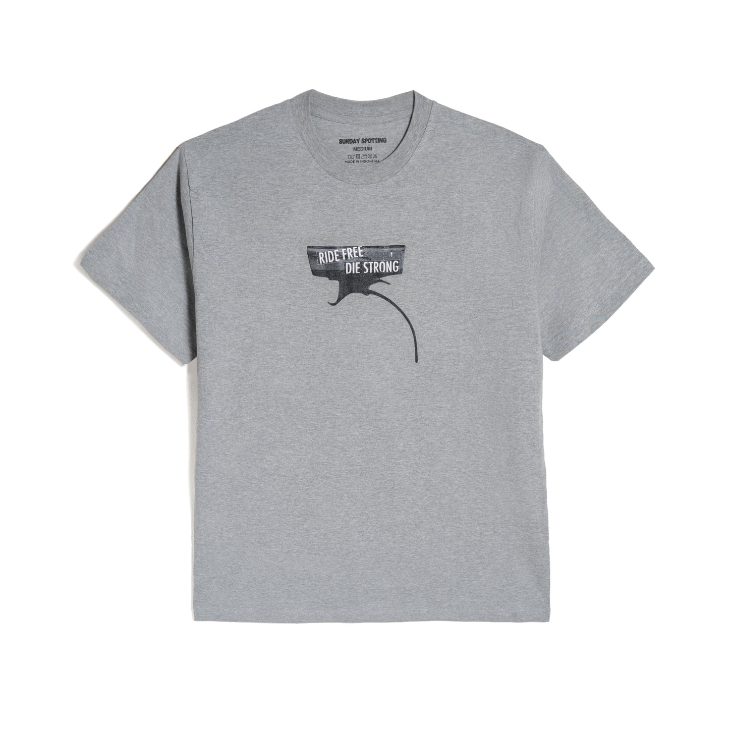 Sunday Spotting Light Tee in Grey