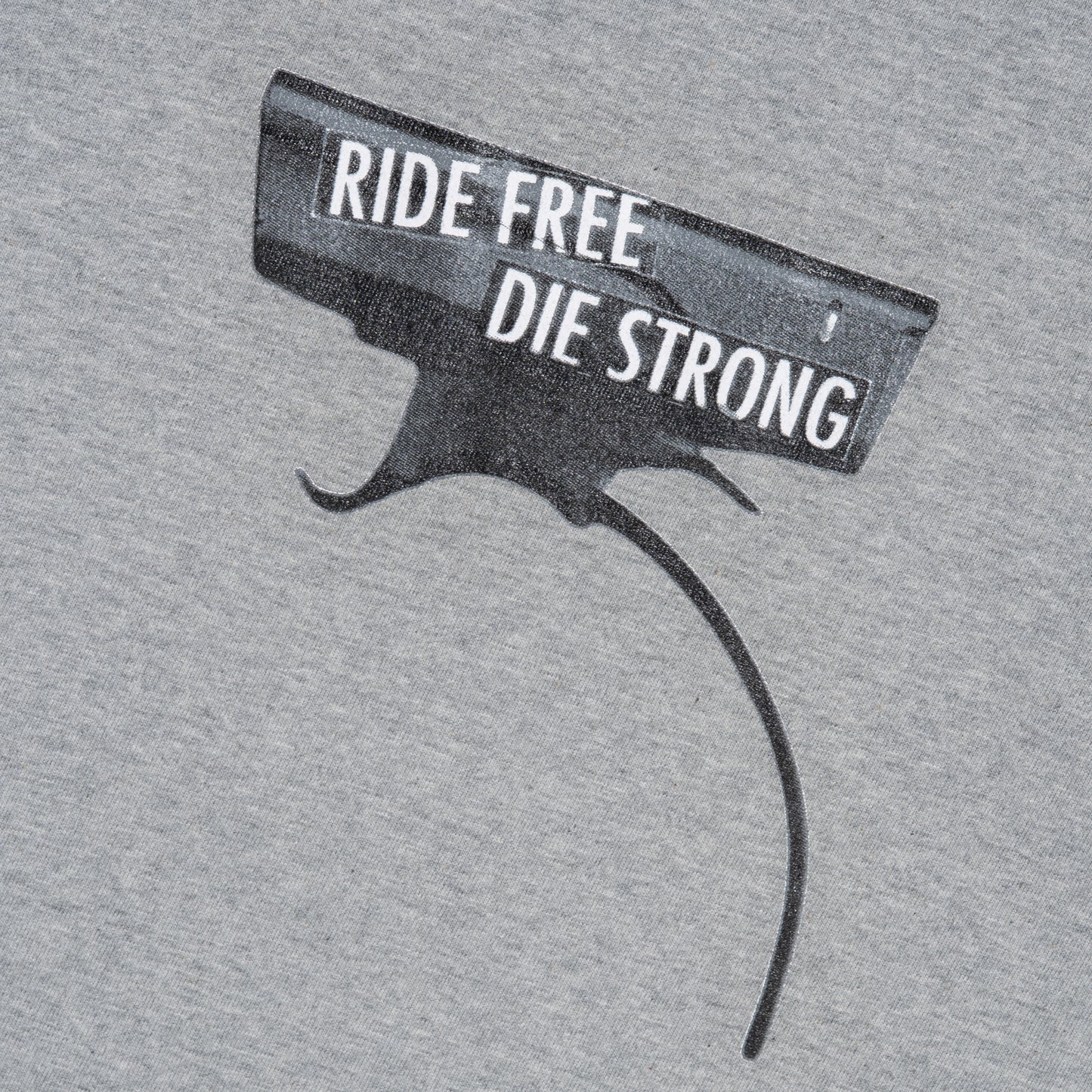 Sunday Spotting Light Tee in Grey