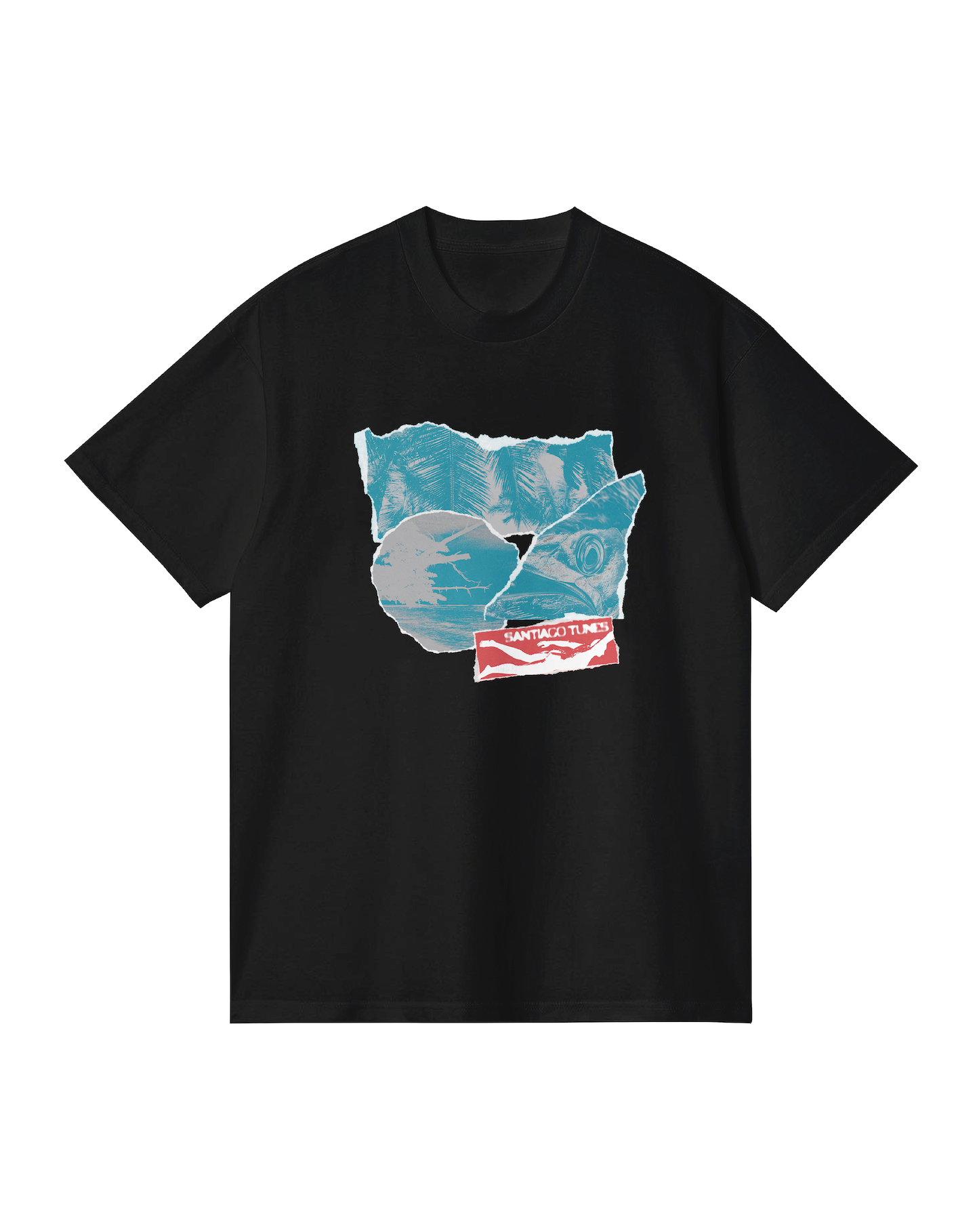 Ripped Photo Tee in Black