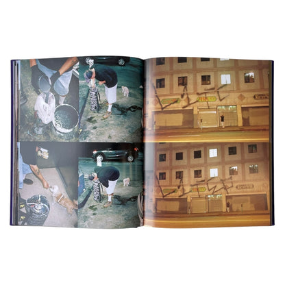 STINGERS HARDCOVER BOOK by Nighted