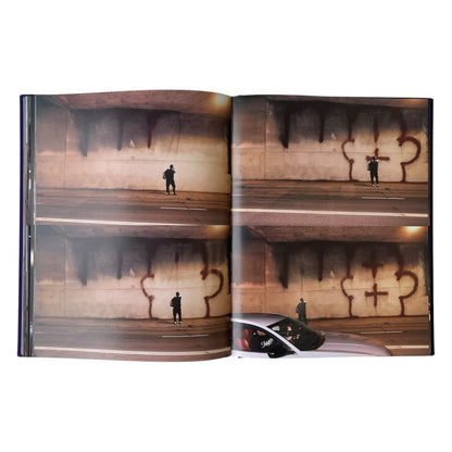 STINGERS HARDCOVER BOOK by Nighted