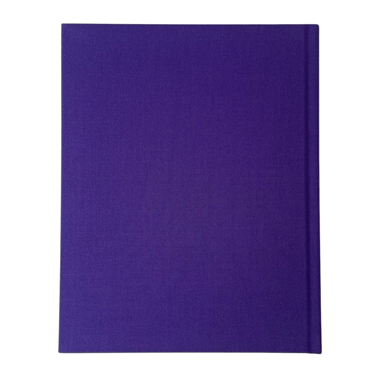 STINGERS HARDCOVER BOOK by Nighted