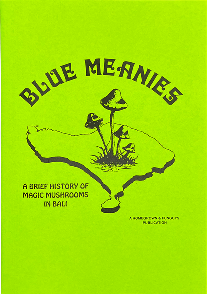 Blue Meanies zine