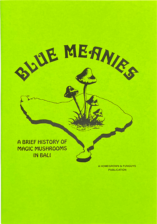 Blue Meanies zine