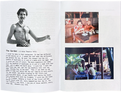 Blue Meanies zine