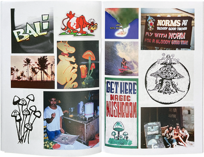 Blue Meanies zine