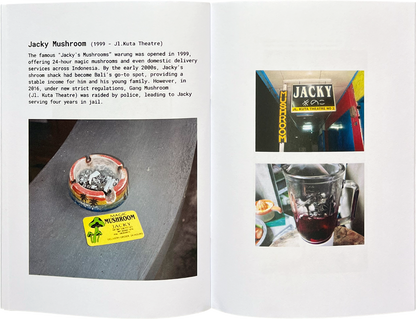 Blue Meanies zine